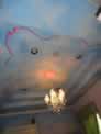 Baby Nursery Ceiling Clouds